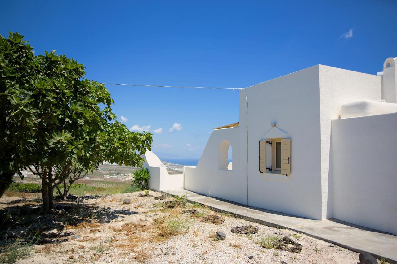 White Orchid Villa Pýrgos Exteriör bild